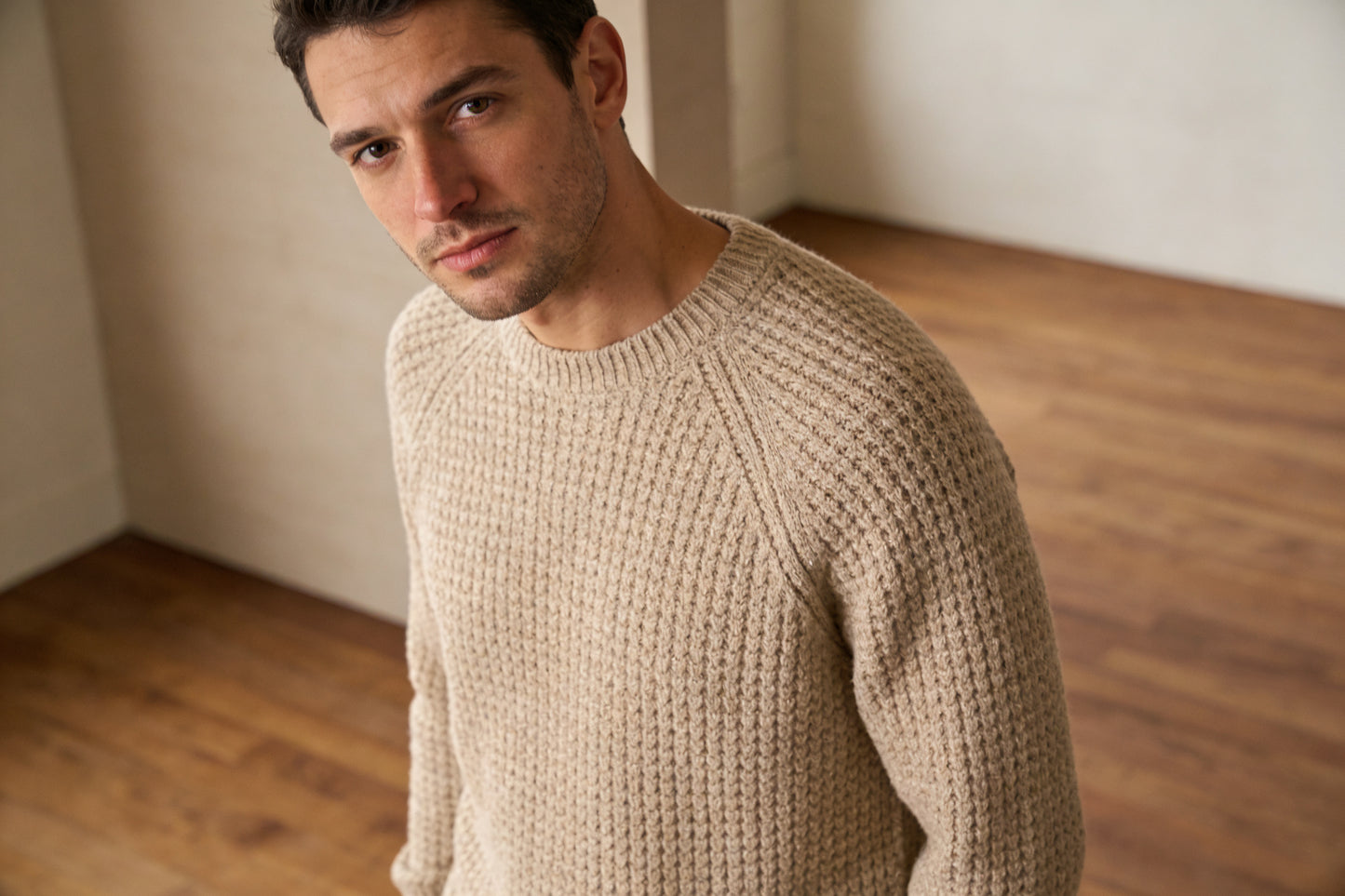 MOEY SWEATER STYLE MODERN